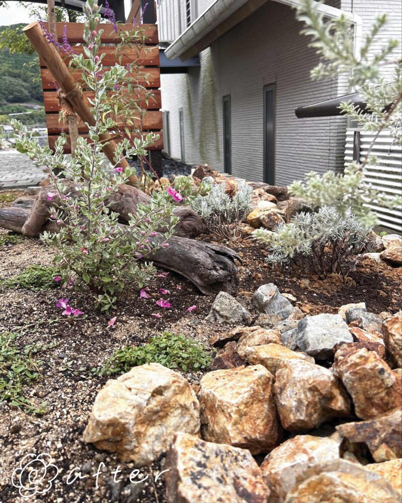 自然石と低木を組み合わせたロックガーデン風植栽デザイン。管理しやすく景観性の高い庭づくり事例。